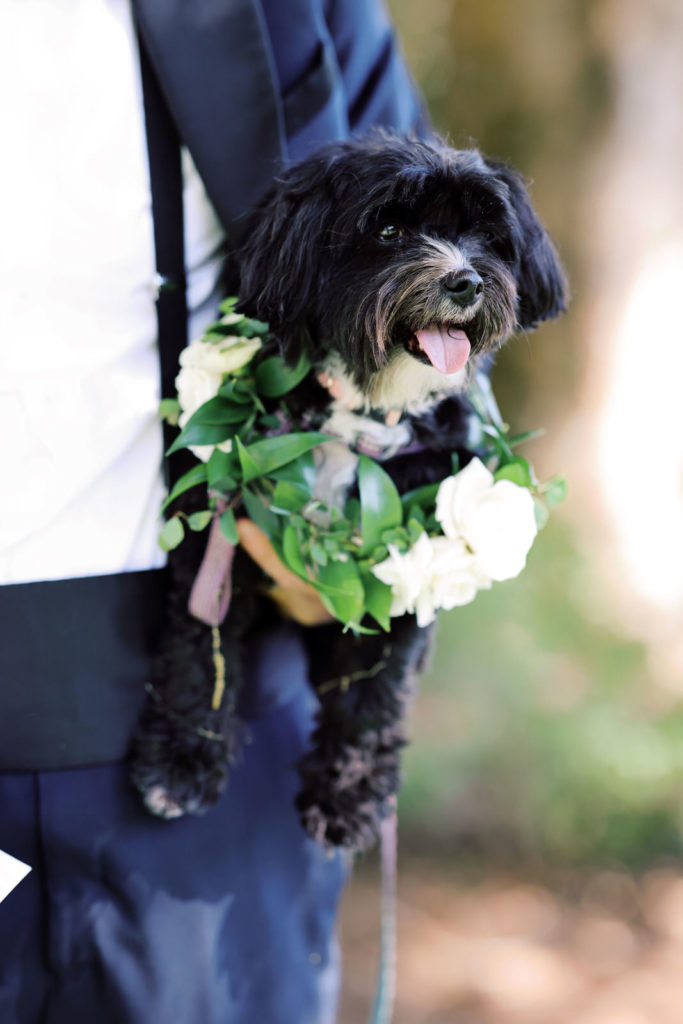 Elegant couple's wedding portraits during a spring wedding at Graylyn Estate in Winston-Salem.